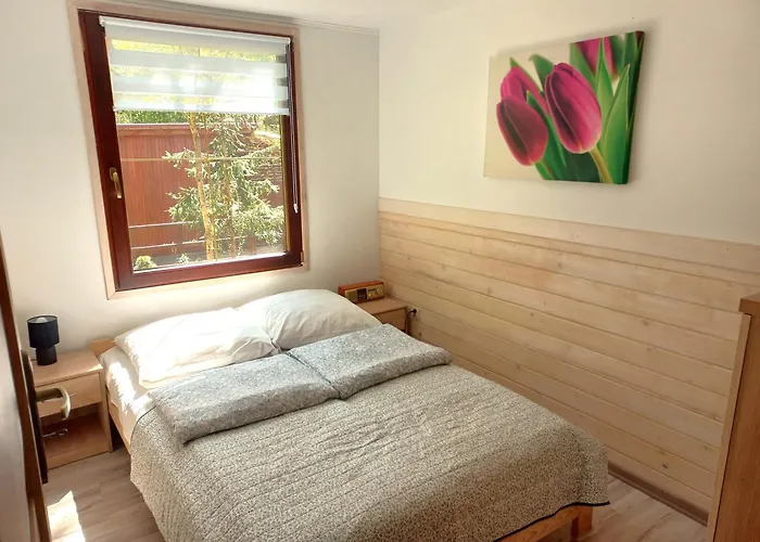 Letniskowe O.w. Plaza